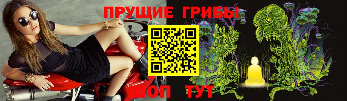 Галлюциногенные грибы Cubensis  наркошоп  Конаково  Псилоцибиновые грибы Psilocybine cubensis  Вход с VPN 